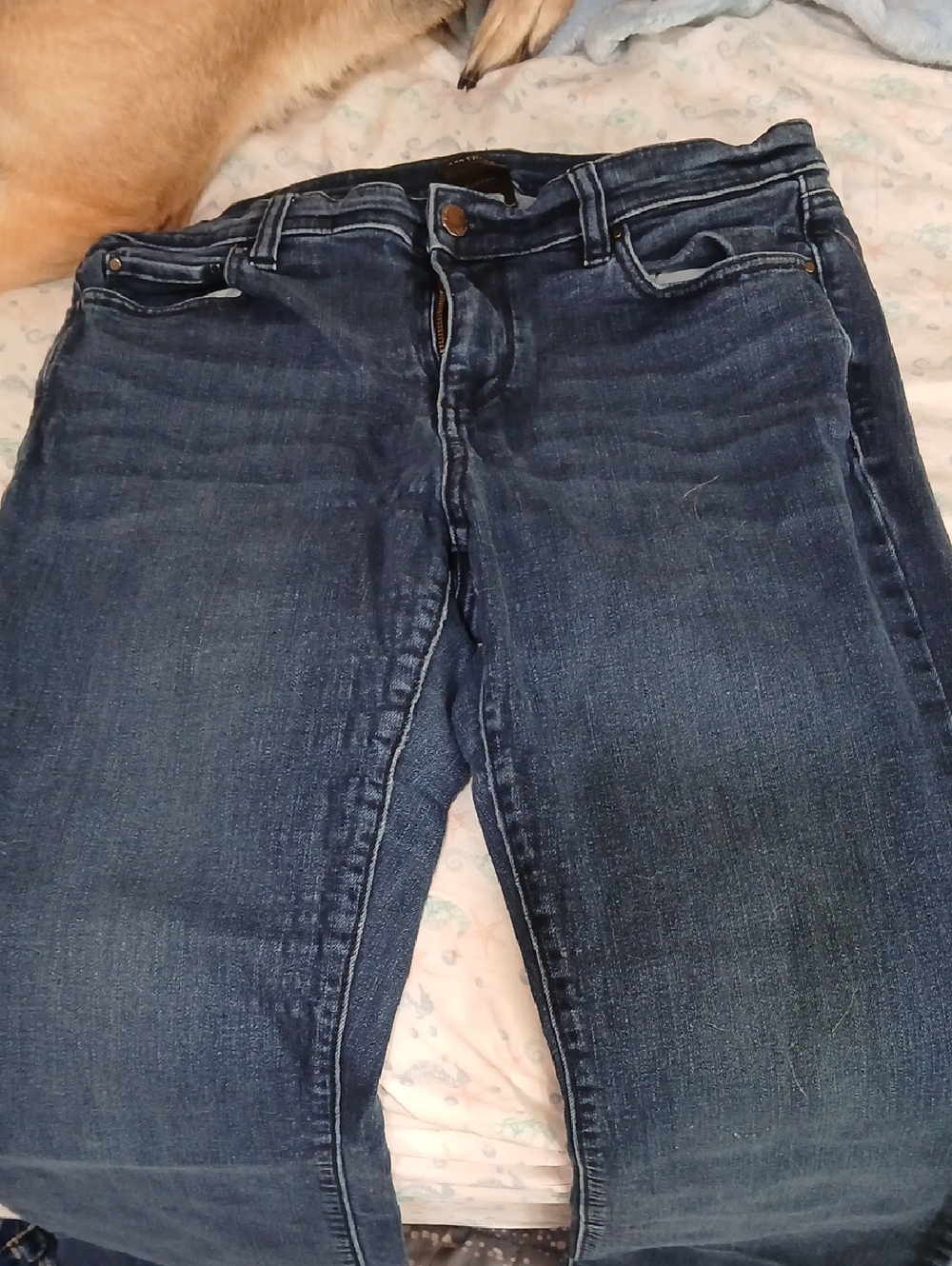 Ann Taylor Women's Dark Blue Skinny Jeans
